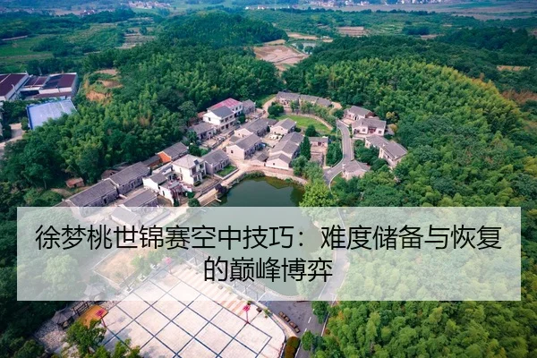 徐梦桃世锦赛空中技巧：难度储备与恢复的巅峰博弈